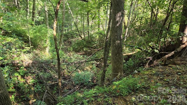 50 Gregory Hill Road, Fairview, NC 28730