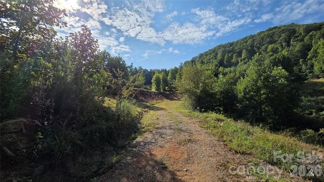 50 Gregory Hill Road, Fairview, NC 28730