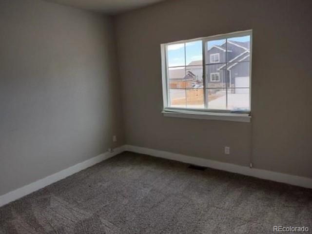 1756 Avery Plaza St, Severance, CO 80550