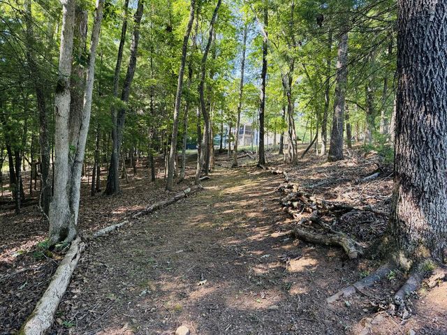 1533 John Smith Road E, Blairsville, GA 30512