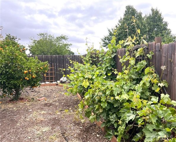 31768 Via Verde, Lake Elsinore, CA 92530