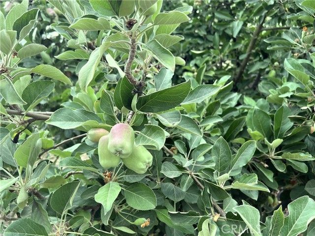 31768 Via Verde, Lake Elsinore, CA 92530