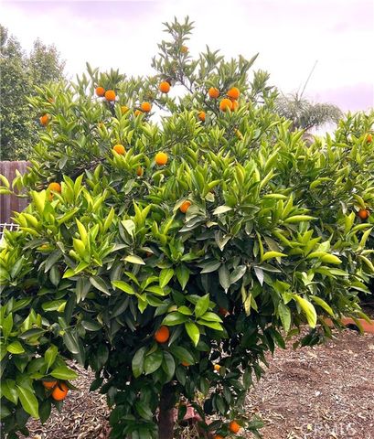 31768 Via Verde, Lake Elsinore, CA 92530