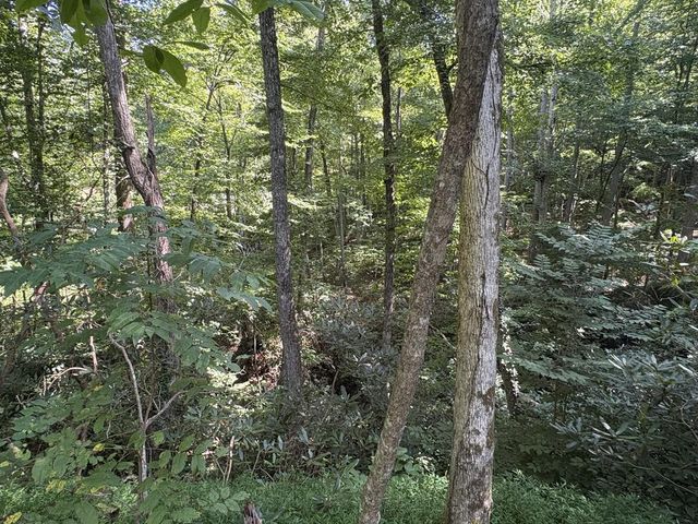 889 Low Gap Road, Hayesville, NC 28904