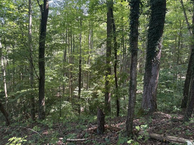 889 Low Gap Road, Hayesville, NC 28904