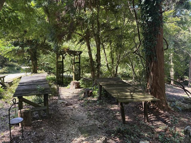 889 Low Gap Road, Hayesville, NC 28904