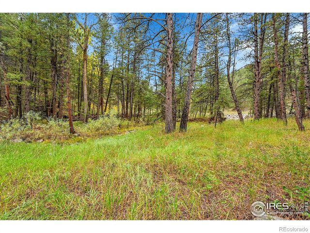 5567 Lefthand Canyon Drive, Jamestown, CO 80455