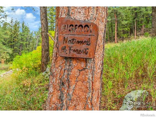 5567 Lefthand Canyon Drive, Jamestown, CO 80455