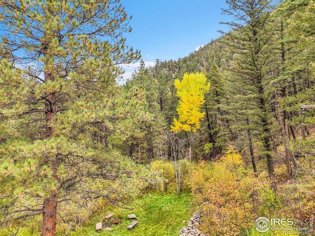 5567 Lefthand Canyon Drive, Jamestown, CO 80455