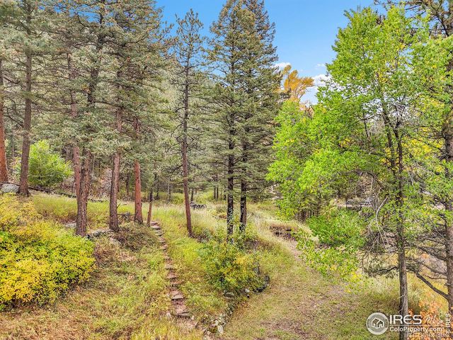 5567 Lefthand Canyon Drive, Jamestown, CO 80455