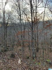 0 HICKORY LANE, Warrior, AL 35180