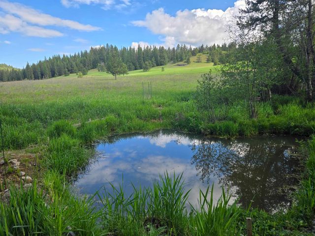 4439 Whittier Rd, Clayton, WA 99110