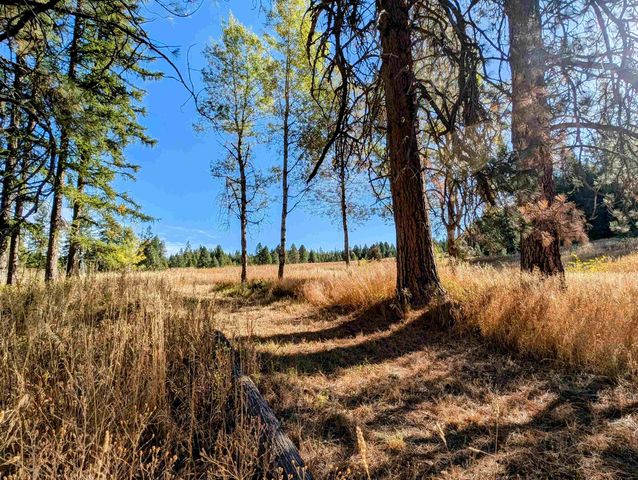 4439 Whittier Rd, Clayton, WA 99110