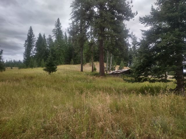 4439 Whittier Rd, Clayton, WA 99110