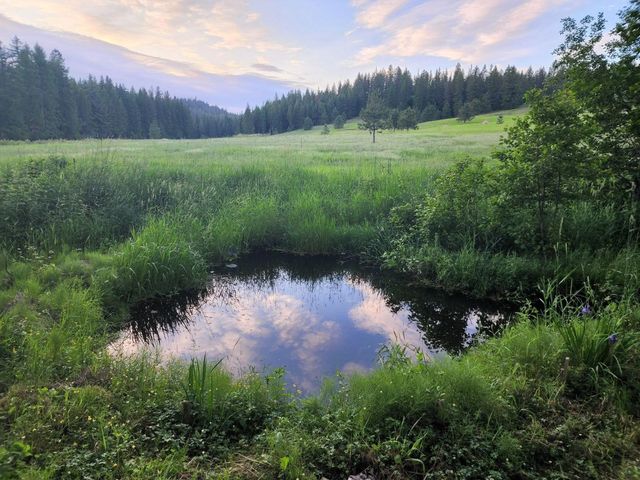 4439 Whittier Rd, Clayton, WA 99110