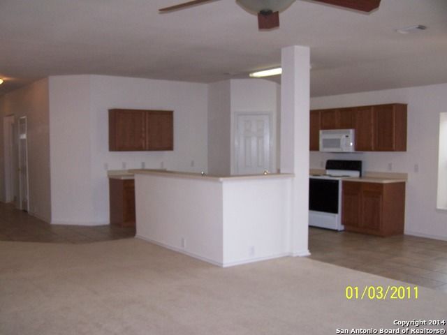 15803 Borwick Ln, Selma, TX 78154