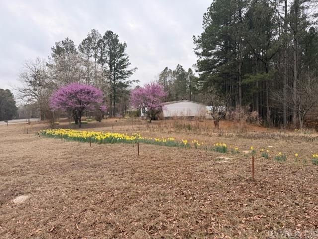 4408 Hwy 376 S, Louann, AR 71751