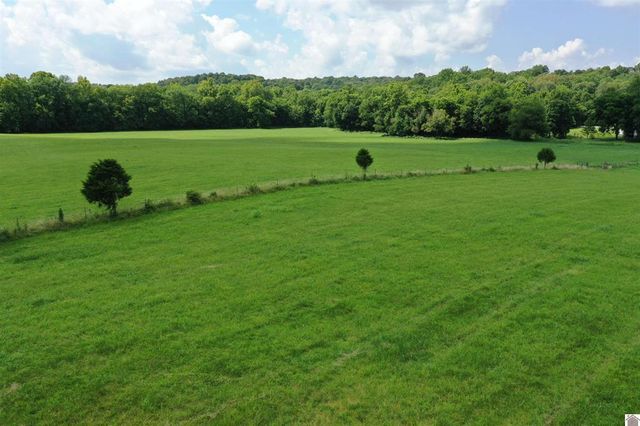 0 Turkey Knob Road, Marion, KY 42064