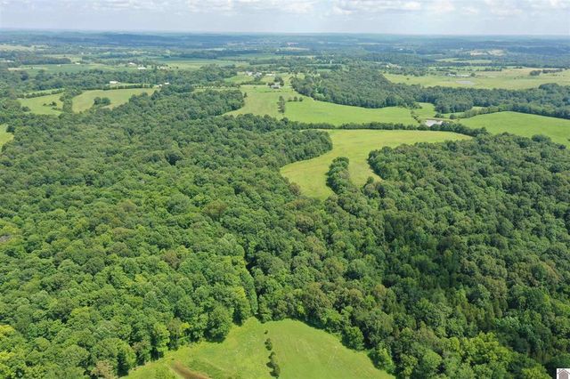 0 Turkey Knob Road, Marion, KY 42064