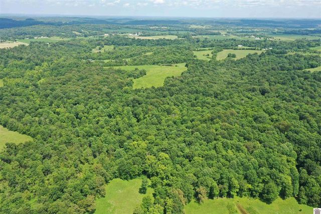 0 Turkey Knob Road, Marion, KY 42064