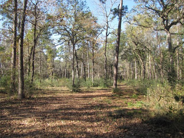 32602 Dogwood Trail, Magnolia, TX 77355