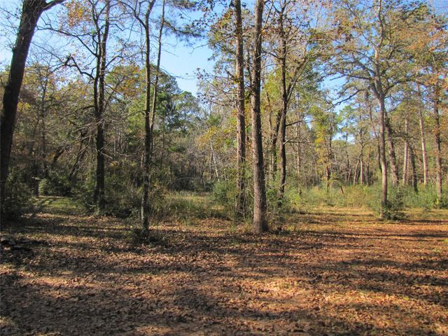 32602 Dogwood Trail, Magnolia, TX 77355