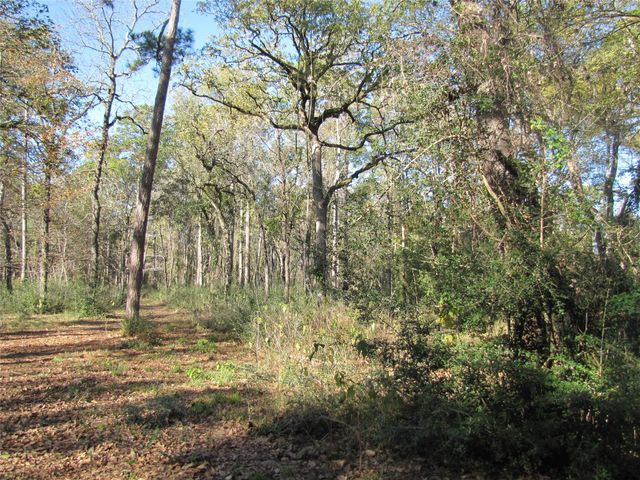 32602 Dogwood Trail, Magnolia, TX 77355