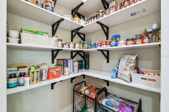 14309 AZALEA POND COURT, Lithia, FL 33547