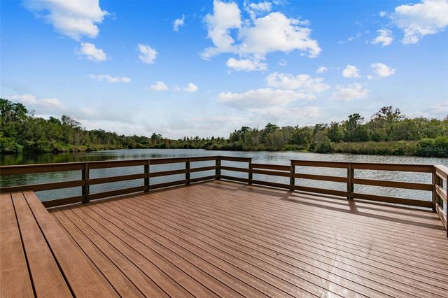 14309 AZALEA POND COURT, Lithia, FL 33547