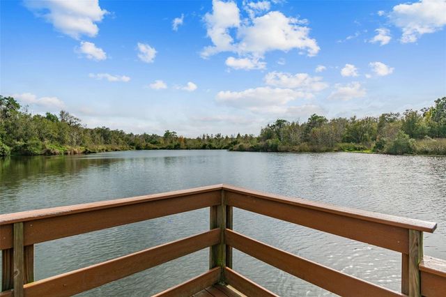 14309 AZALEA POND COURT, Lithia, FL 33547