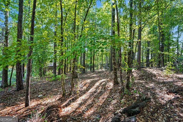 160 Brittany Lane, Senoia, GA 30276
