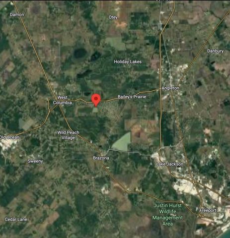 236 Middle Bayou Trail, Angleton, TX 77515