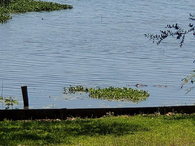 1013 Quail Lane, Eagle Lake, TX 77434