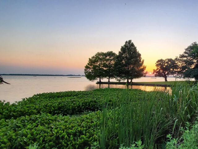 1013 Quail Lane, Eagle Lake, TX 77434