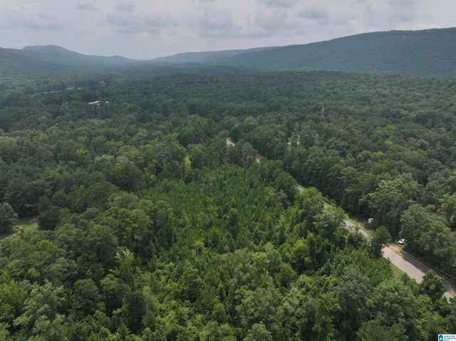 0 BEAR CREEK ROAD, Sterrett, AL 35147