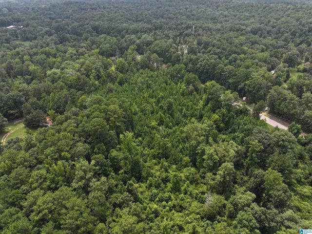 0 BEAR CREEK ROAD, Sterrett, AL 35147