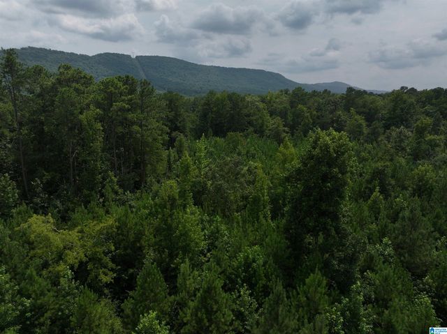 0 BEAR CREEK ROAD, Sterrett, AL 35147