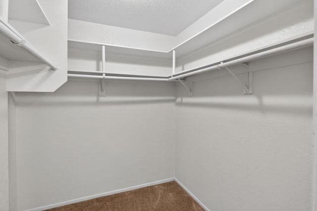 8825 Lemas Rd, Sacramento, CA 95828