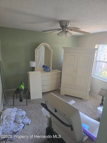 11365 Riddle Drive, Spring Hill, FL 34609