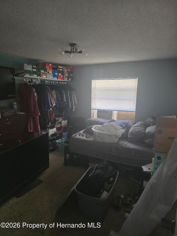 11365 Riddle Drive, Spring Hill, FL 34609