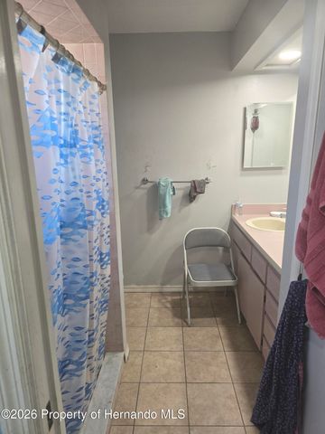 11365 Riddle Drive, Spring Hill, FL 34609