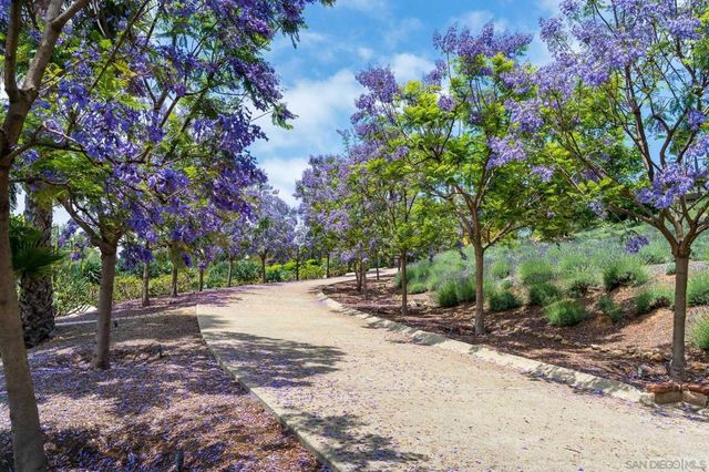 18245 Paseo Victoria, Rancho Santa Fe, CA 92067