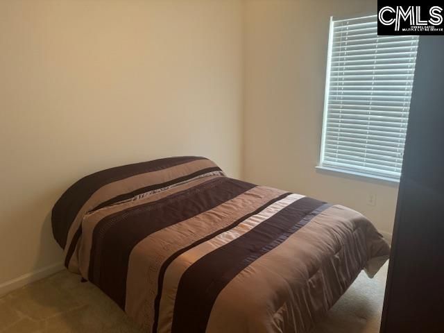 313 S Allaire Court, Columbia, SC 29229