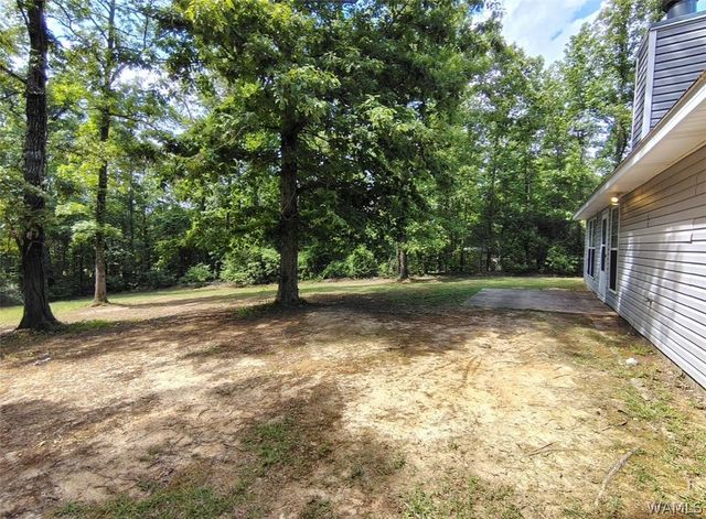 14452 Lock 9, Foster, AL 35463