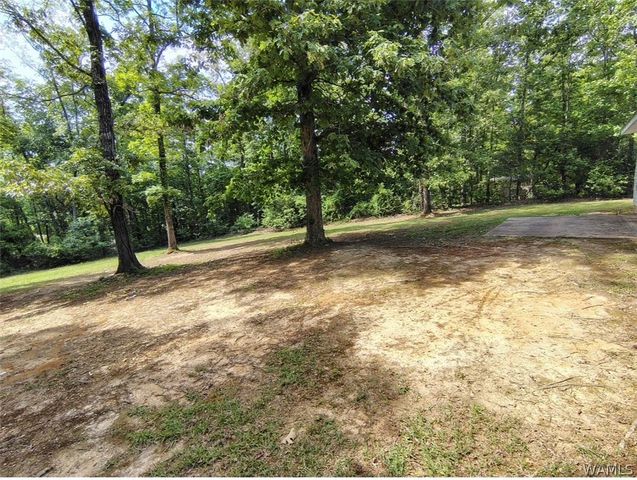 14452 Lock 9, Foster, AL 35463