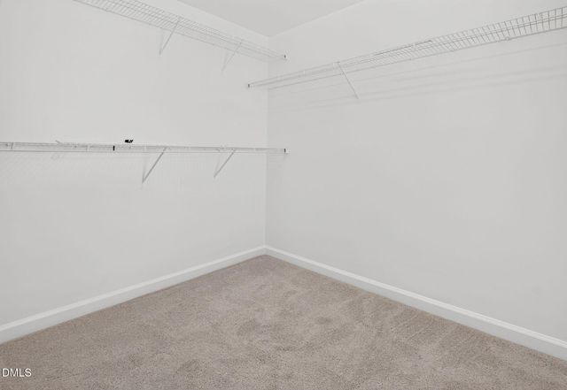 1343 Still Monument Way, Raleigh, NC 27603