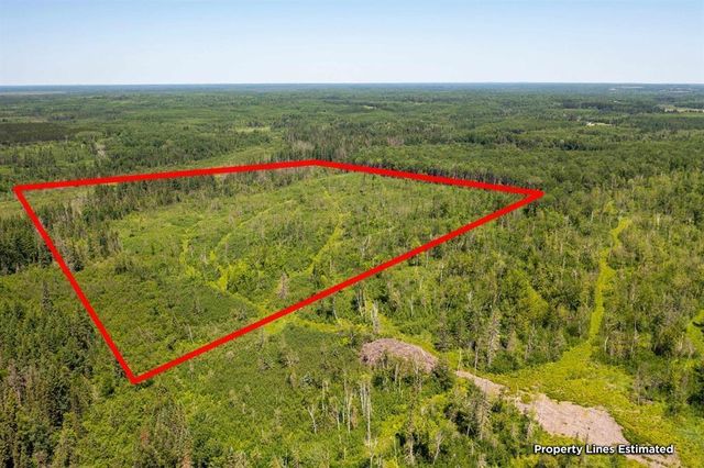 TBD Township Rd 5743, New Independence Twp, MN 55702