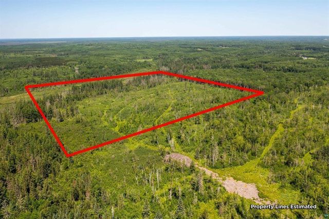 TBD Township Rd 5743, New Independence Twp, MN 55702