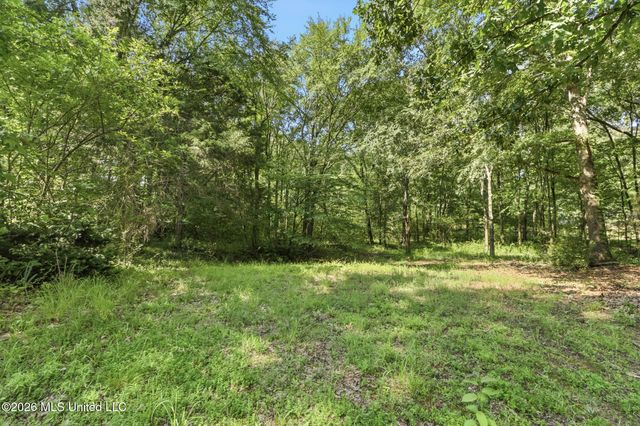 6225 Tranquil Drive, Olive Branch, MS 38654