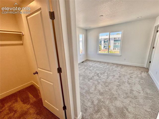3668 Byram Point, Colorado Springs, CO 80910